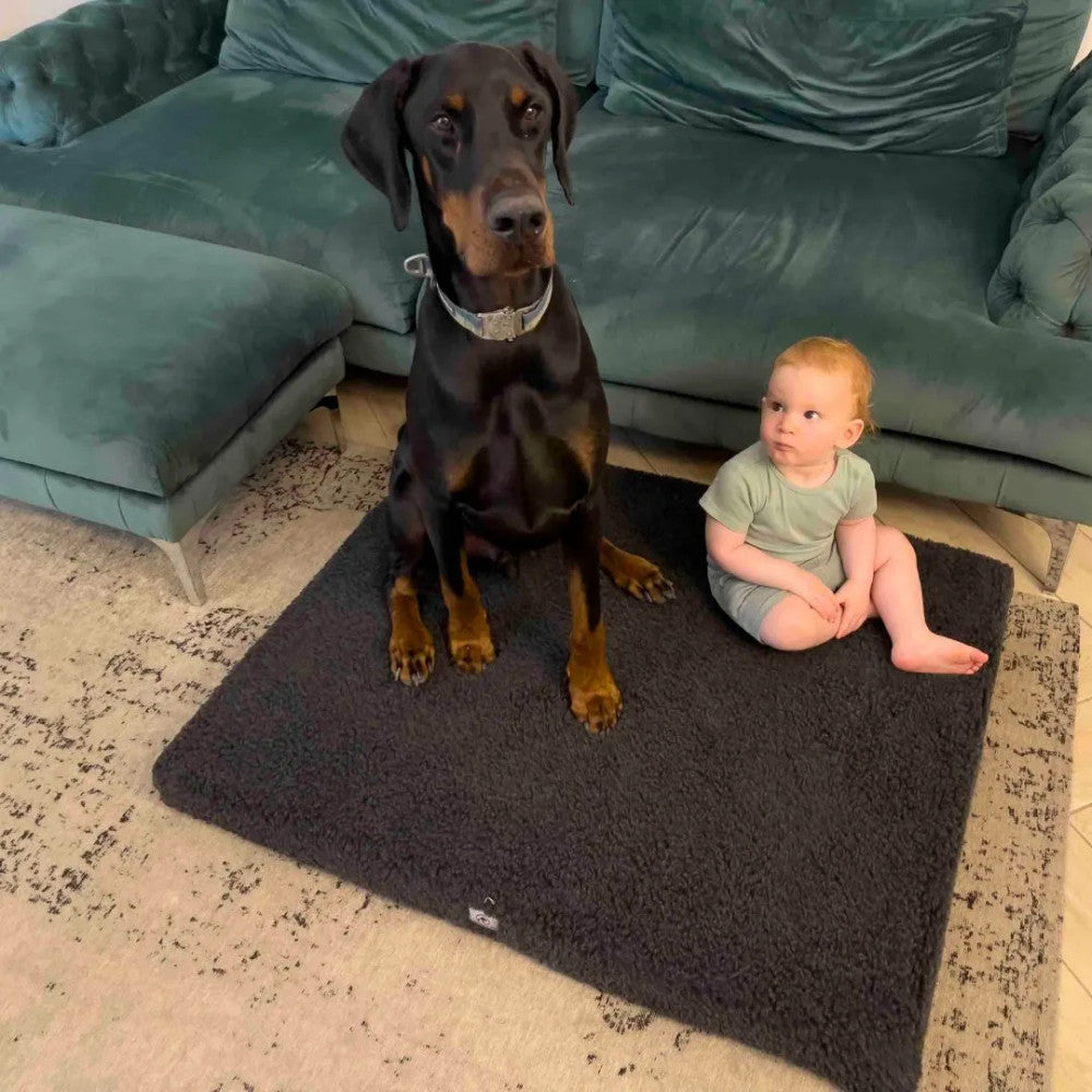 Hugo - furry dog ​​bed (mattress)