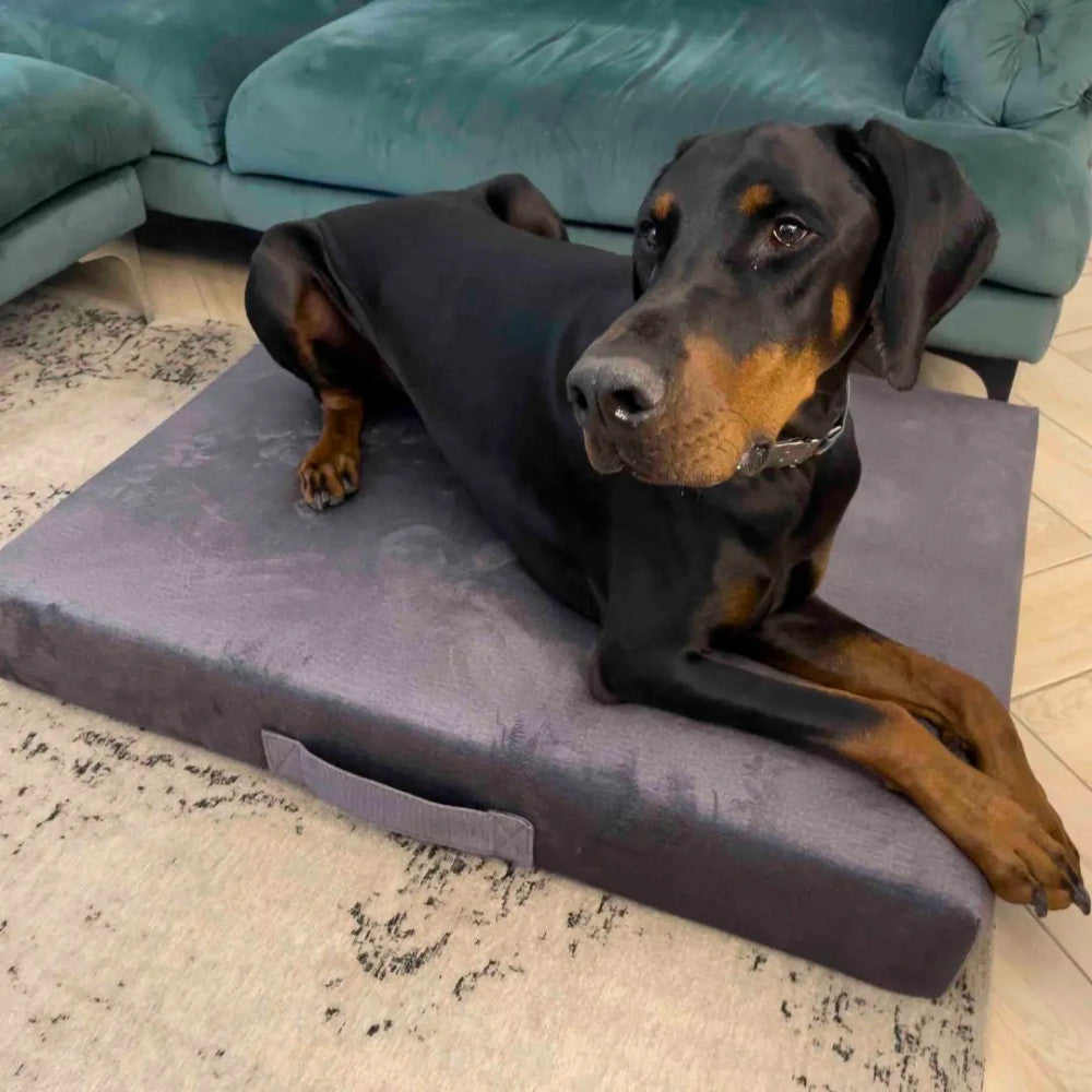 Premium Mattress Dog Bed - Gray
