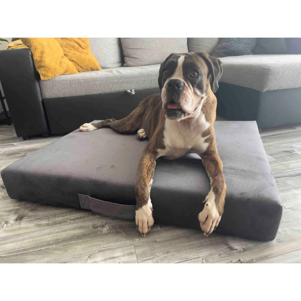 Premium Matratzen-Hundebett - Grau