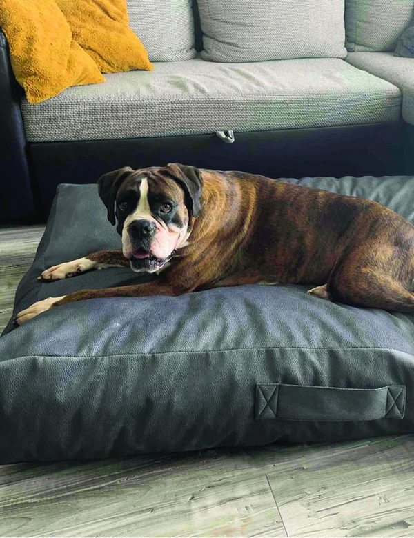 Animal beds